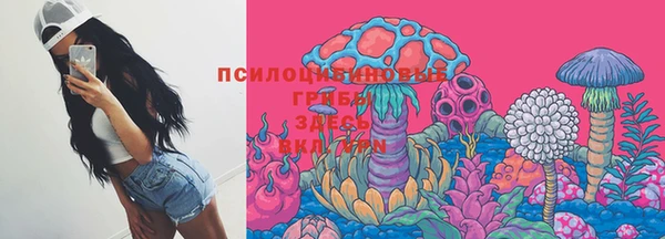прущая мука Армянск